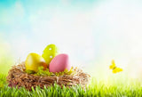 Easter Eggs Green Grass Background Backdrop for Photography SH150
