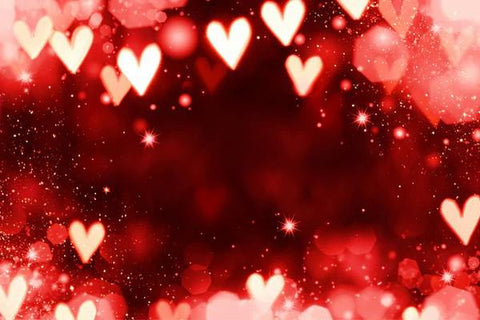 Valentine's Day Background Hearts Photo Shoot Backdrop SH521