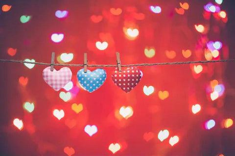 Photography Love Hearts Valentine's Day Backdrop SH563