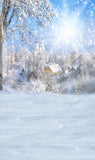 Nieve de Invierno Bosque Sol Pueblo Telón de Fondo para Fotografía ST-485