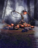 Horrible Background Pumpkin Scarecrow Halloween Festival Backdrops IBD-P19087