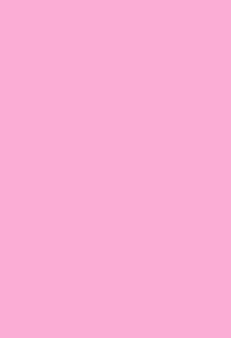 Pink Solid Color Photo Studio Backdrop LV-069