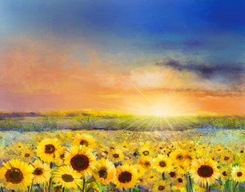 Sunflower Flower Sea Sunset Sky Backdrop for Photography