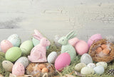 Easter Decorations Easter Eggs Bunny Photo Booth Backdrop LV-1452