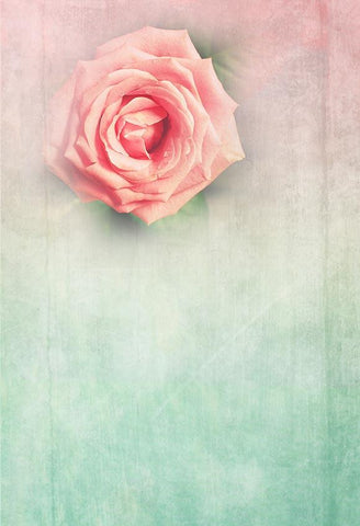 Pink Flower Green Pink Abstract Texture Photography Backdrop LV-1504