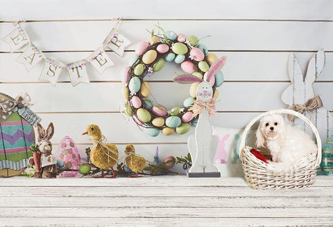 Easter Backdrop Easter Eggs Bunny Dog Photography Backdrop LV-1573