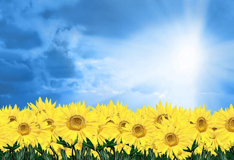 Sunflower Blue Sky Sunshine Backdrop for Photography Studio