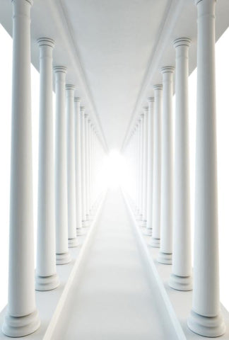 Palace Corridor Columns Photo Studio Backdrop ZH-163